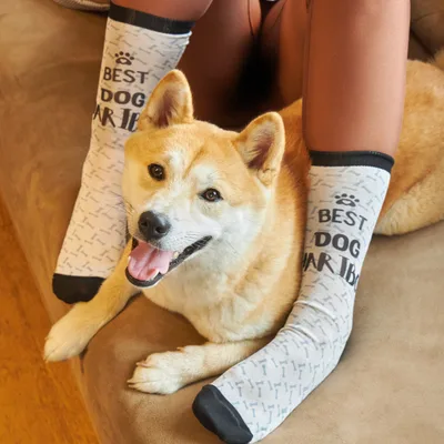 Best Dog Personalized Dog Design Socks