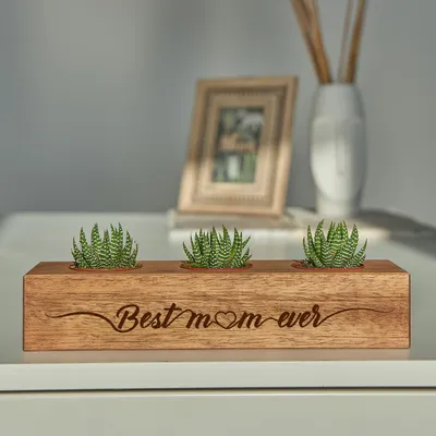 Best Mom Ever Designed Succulent Trio with Wooden Stand as a Mother's Day Gift for Mom