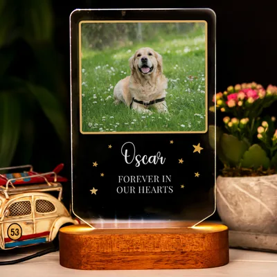 Cat Dog Special Message LED Lamp