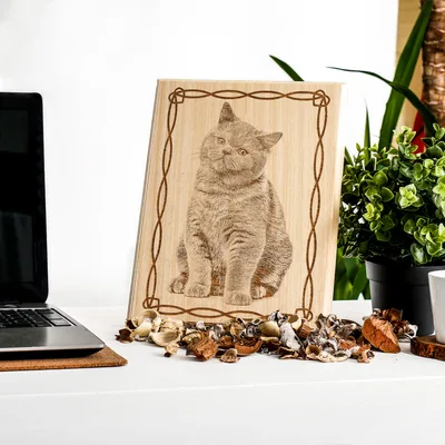 Cat - Dog Wooden Picture Frame