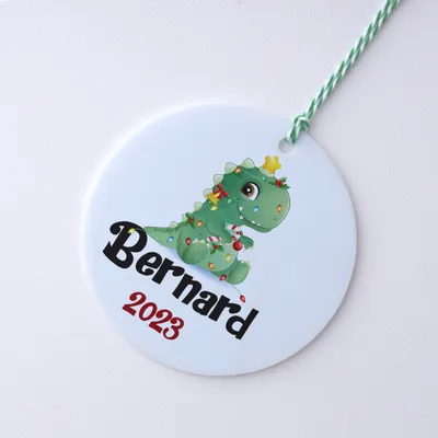 Cute Dinosaur Designed Named Pine Tree Ornament