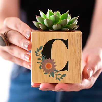 Decorative Potted Succulent Naturacube with Initial Design