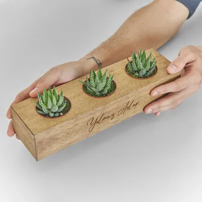Personalised Triple Succulent Planter – Perfect Office Gift