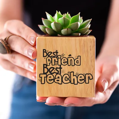 Gift for Teacher Friend Succulent Plant Naturacube