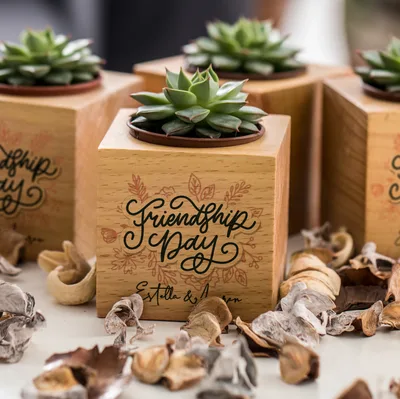 Gifts for Friends Friendship Day Design Succulent Naturacube
