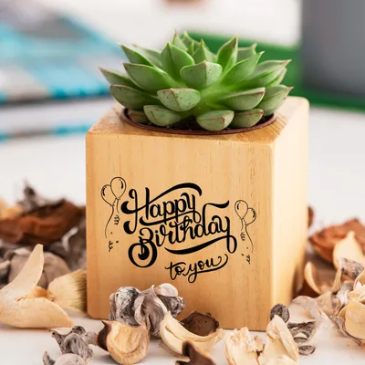 Happy Birthday Gift Succulent Naturacube