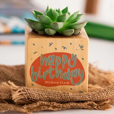 Happy Birthday Gifts Personalized Succulent Naturacube with Flowerpot