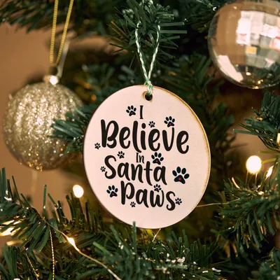 I Believe in Santa Paws Tree Ornament