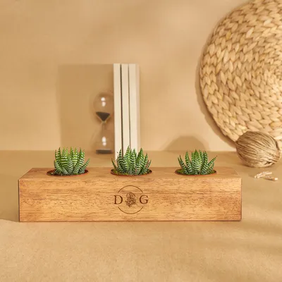 Initial Personalized Wooden Succulent Pot with 3 Slots