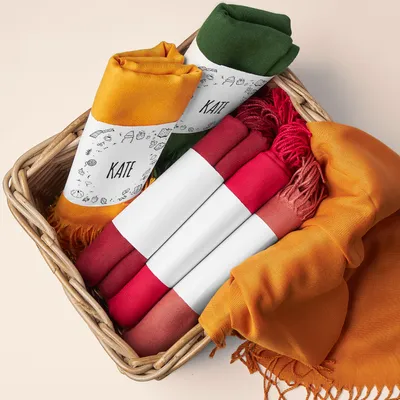 Minimal Icon Design Colorful Women's Scarf