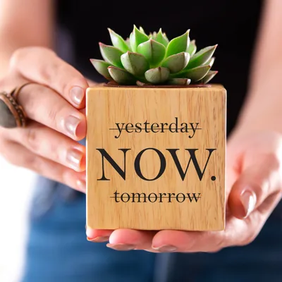 Motivation Motto Printed Gift Succulent Naturacube