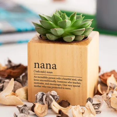 Nana Definition Succulent Planter Gift