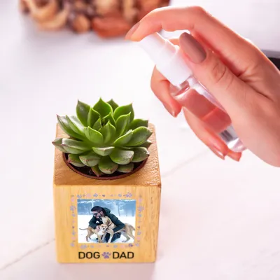 Personalized Pet Dad Succulent Planter