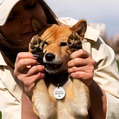 Personalized Pet Name Tag for Dogs and Cats