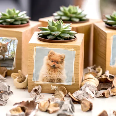 Personalized Pet Photo Wooden Naturacube