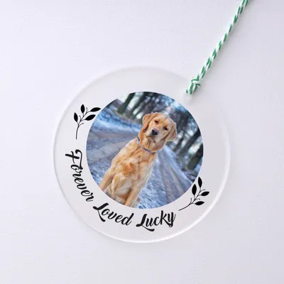 Personalized Transparent Christmas Ornament with Pets