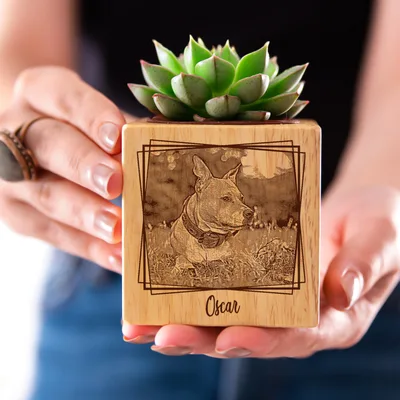 Pet Personalized Photo Printed Succulent Wooden Pot