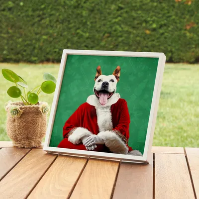 Santa Costume Personalised Pet Portrait Sticky Frames