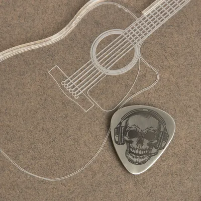 Skull Designed Silver Guitar Pick