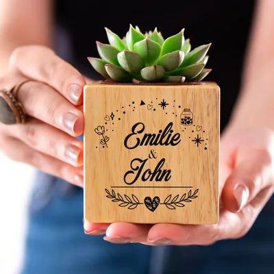 Succulent Pot Anniversary Gifts for Couples with Magic Design