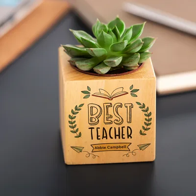Teacher Gifts Succulent Naturacube with Flowerpot