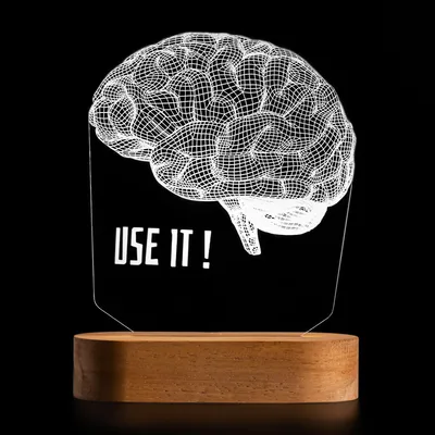 Use Your Brain 3D Design LED Lamp