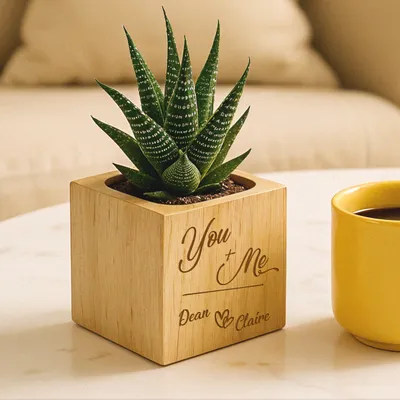 You and Me Succulent Pot