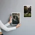 2pcs Self Adhesive White Photo Frame Pack for Wall