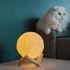 3D Moon Night Lamp with Wooden Stand