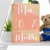 Baby Girl Wooden Personalized Milestone Blocks
