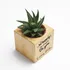 Personalised Be Happy Succulent Pot for Any Occasion