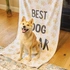 Personalised Dog Towel with Custom Name Design