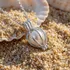 Personalised Birthday Pearl Necklace Gift with Custom Message
