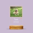 Personalised Pet Photo LED Lamp for Animal Lovers