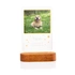 Personalised Pet Photo LED Lamp for Animal Lovers