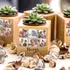 Personalised Photo Succulent Planter for Mum and Grandma