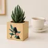 Personalised Initial Succulent Planter Cube - Eco-Friendly Gift