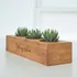 Decorative Succulent Pot with 3 Slots