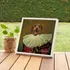 Framed Personal Pet Portrait Design