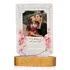 Gift for Mom Photo Printed Desktop Led Lamp