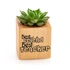 Teacher Appreciation Succulent Planter Naturacube Gift