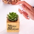 Teacher Appreciation Succulent Planter Naturacube Gift