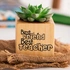 Teacher Appreciation Succulent Planter Naturacube Gift