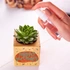 Personalised Birthday Succulent Plant Cube Eco-Friendly Gift