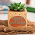 Personalised Birthday Succulent Plant Cube Eco-Friendly Gift