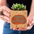 Personalised Birthday Succulent Plant Cube Eco-Friendly Gift