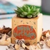 Personalised Birthday Succulent Plant Cube Eco-Friendly Gift