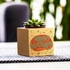 Personalised Birthday Succulent Plant Cube Eco-Friendly Gift