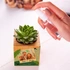 Personalised Photo Succulent Planter Keepsake for Home Decor