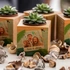 Personalised Photo Succulent Planter Keepsake for Home Decor